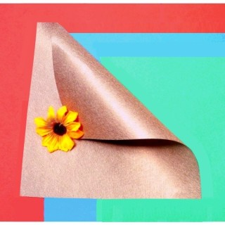 Toile HFshield - 100dB - non tissé