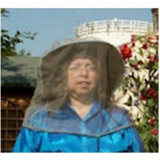 Voilette visage anti-ondes "Headnet"