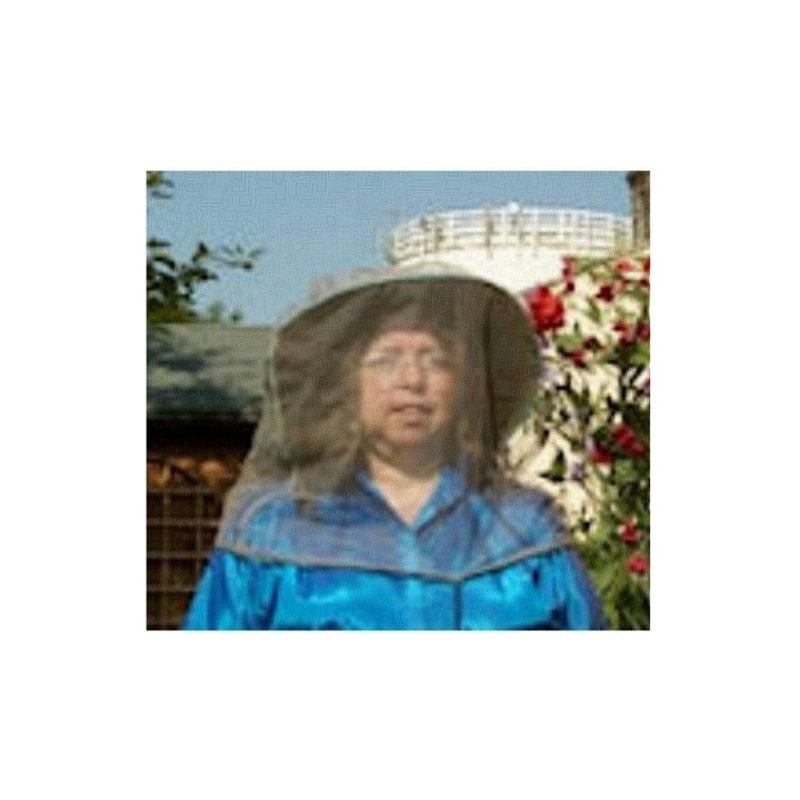 Voilette visage anti-ondes "Headnet"