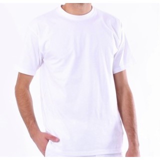 Tee-shirt Homme Naturell Swiss Shield -50dB
