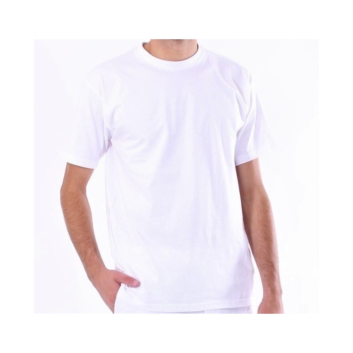 Tee-shirt Homme NATURELL Swiss Shield -50dB