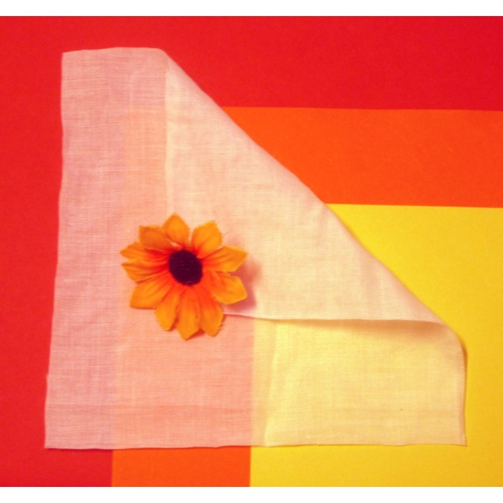 Rideau Naturell Swiss Shield France